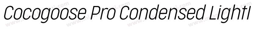 Cocogoose Pro Condensed LightIta字体转换